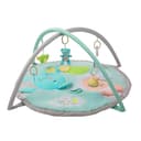 Miniatura 1 de Gimnasio Didáctico Carestino