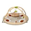 Miniatura 1 de Gimnasio Didáctico Carestino