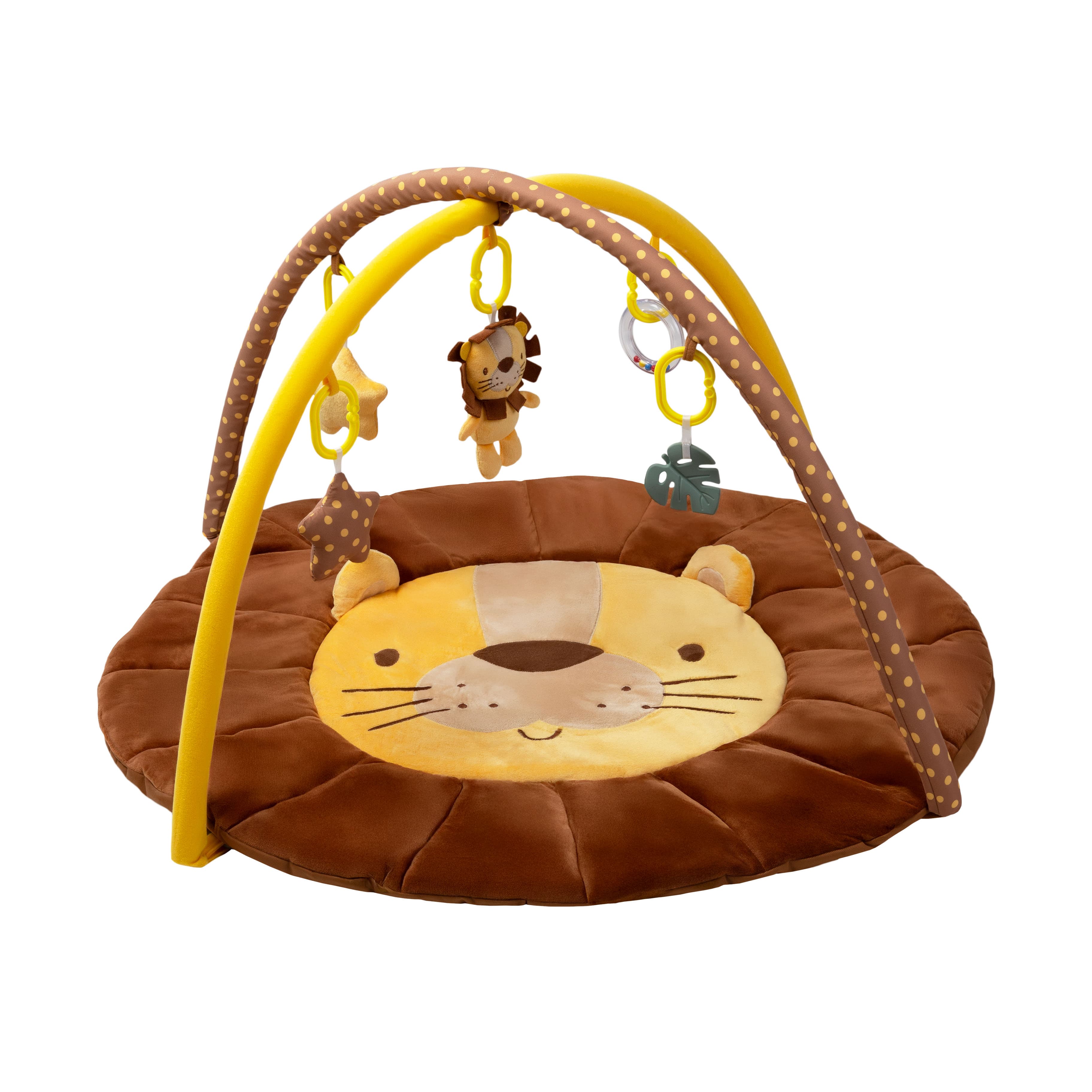 Imagen 1 de 5 de Gimnasio Didáctico Carestino Leon