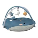 Miniatura 1 de Gimnasio Didáctico Carestino Ballena