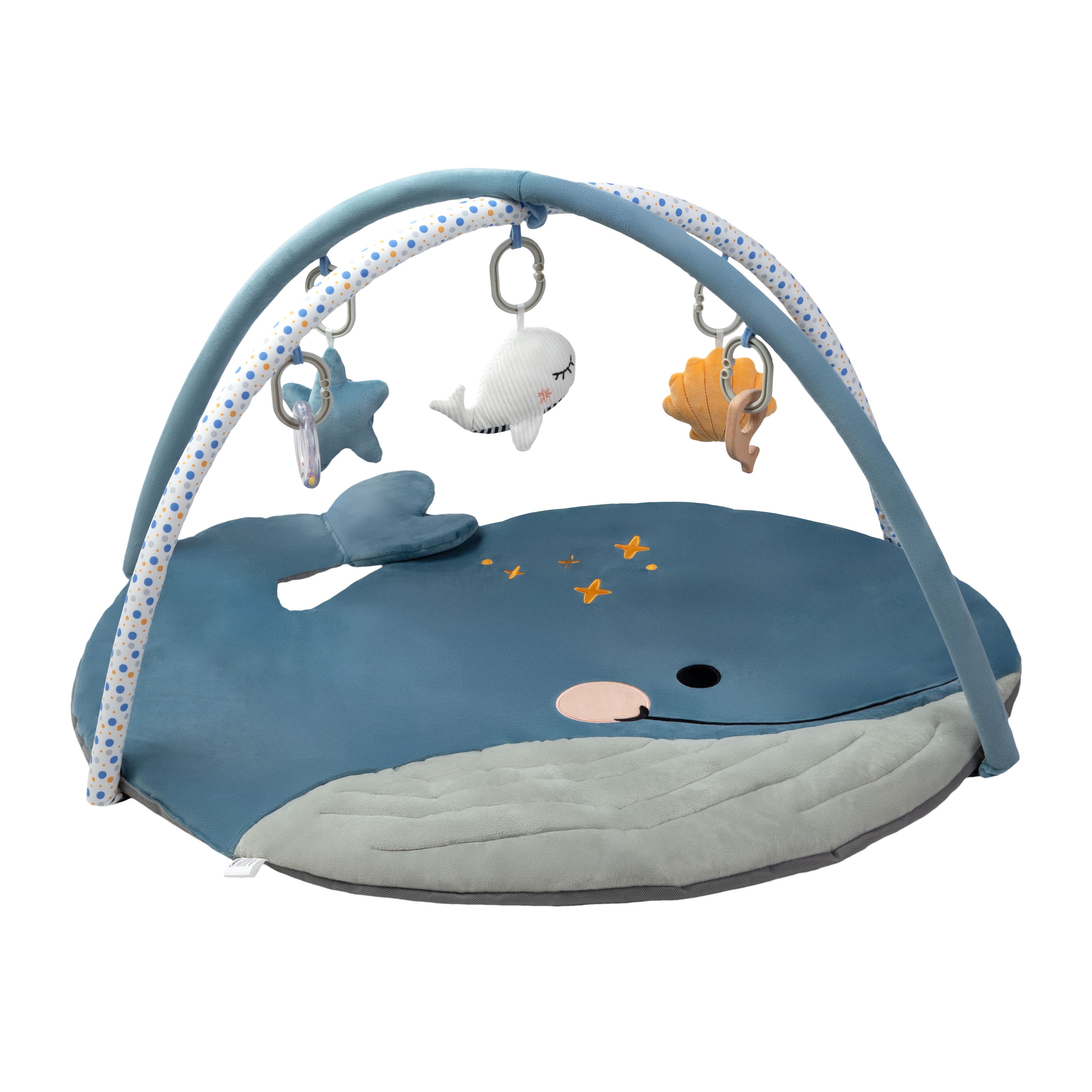 Imagen 1 de 5 de Gimnasio Didáctico Carestino Ballena