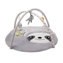 Miniatura 1 de Gimnasio Didáctico Carestino