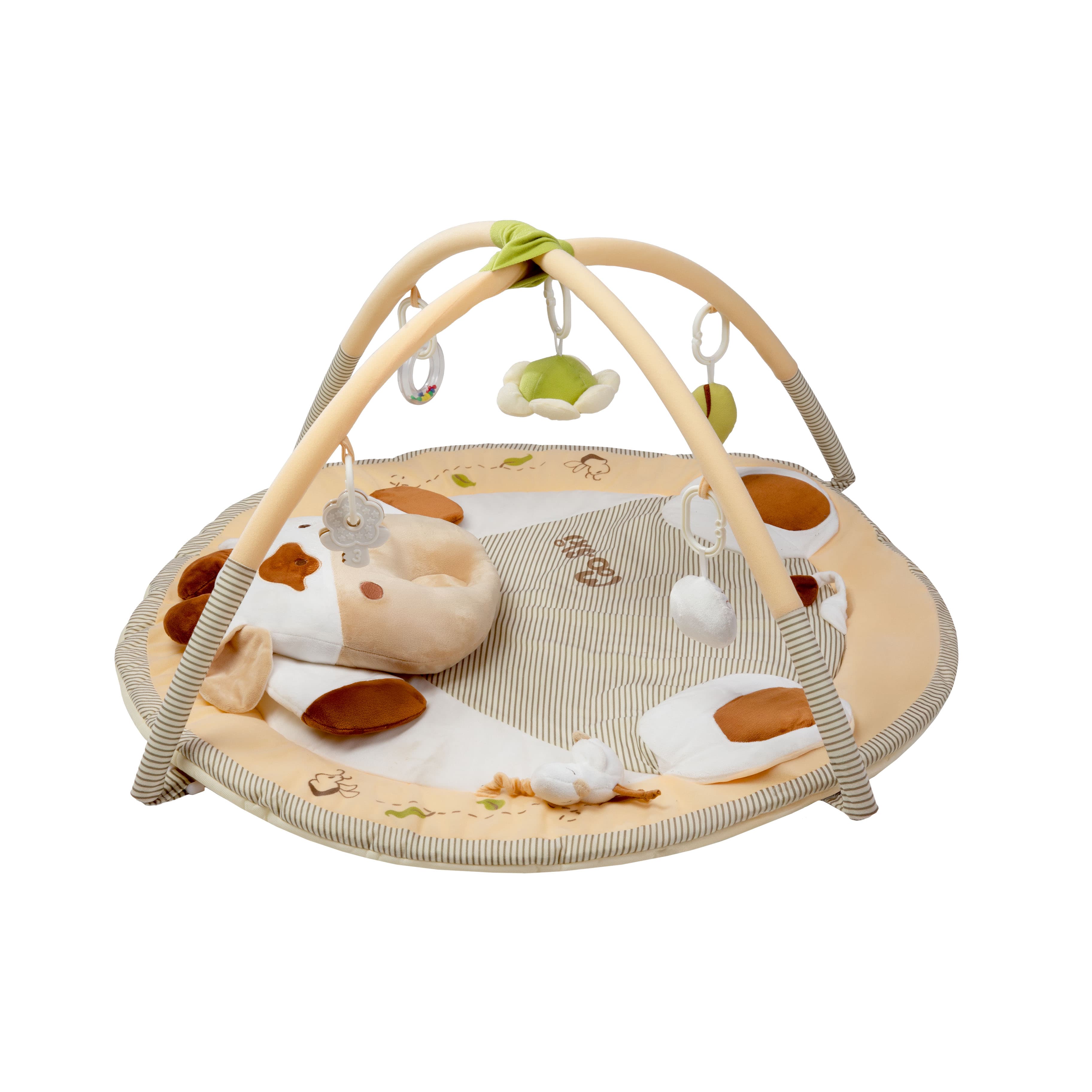 Imagen 2 de 5 de Gimnasio Didáctico Carestino