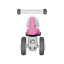 Miniatura 2 de Patacleta