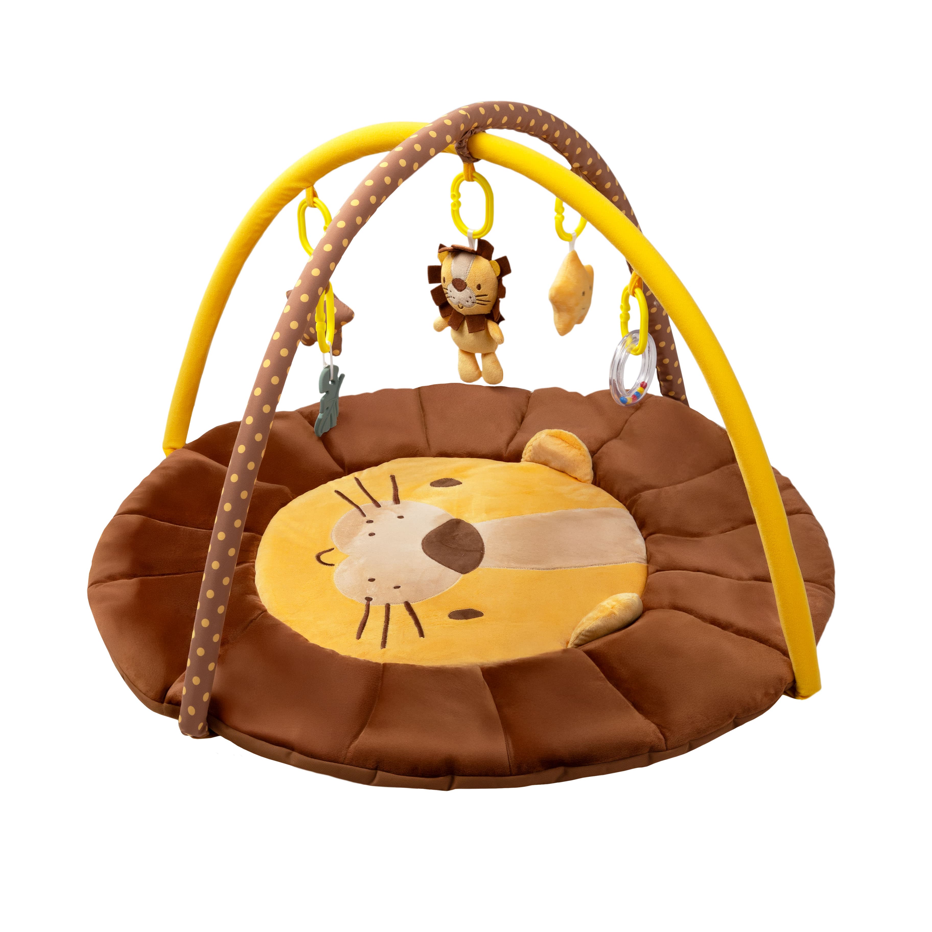 Imagen 2 de 5 de Gimnasio Didáctico Carestino Leon