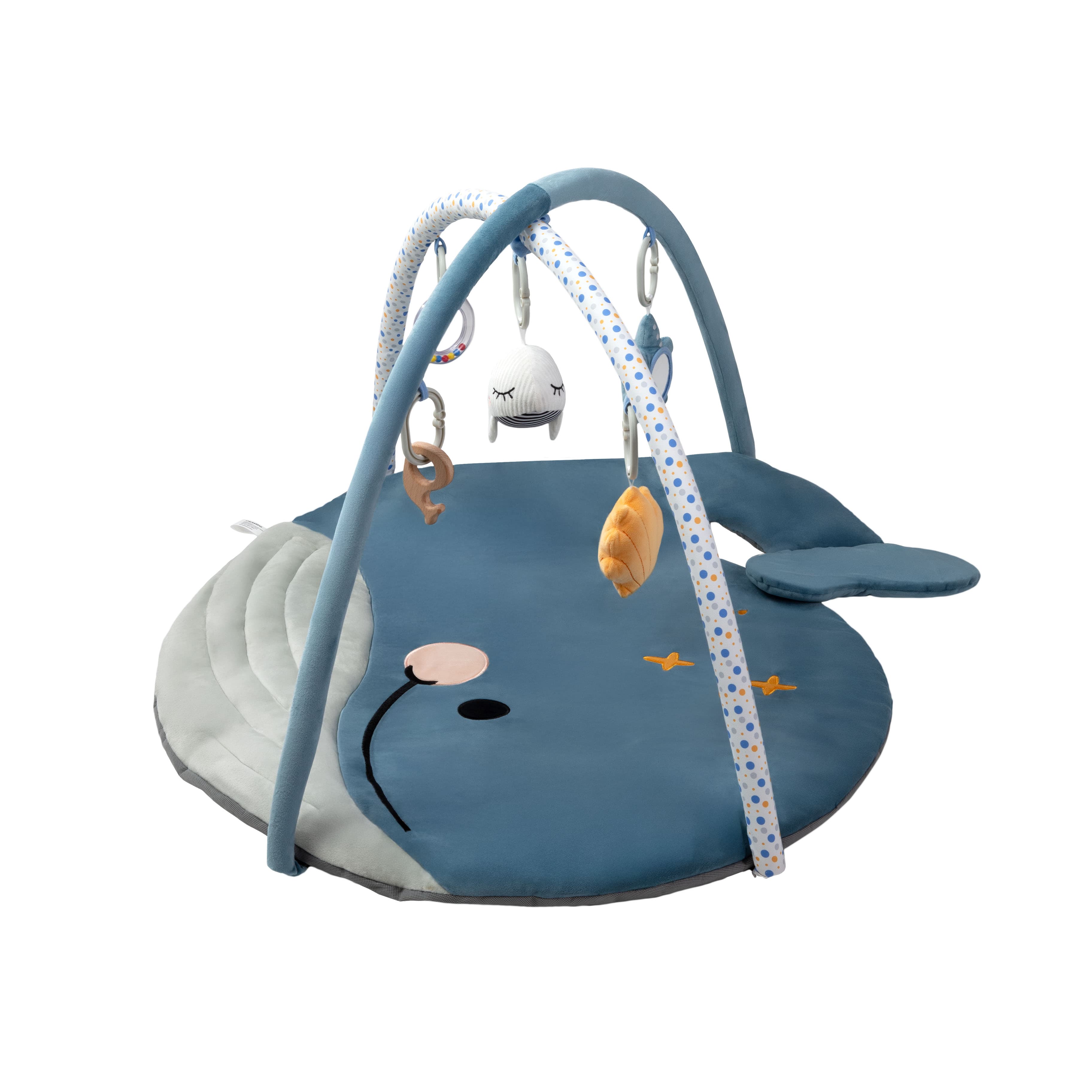 Imagen 2 de 5 de Gimnasio Didáctico Carestino Ballena