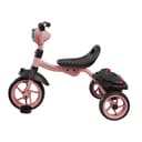 Miniatura 2 de Triciclo RIDE