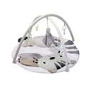 Miniatura 2 de Gimnasio Didáctico Carestino