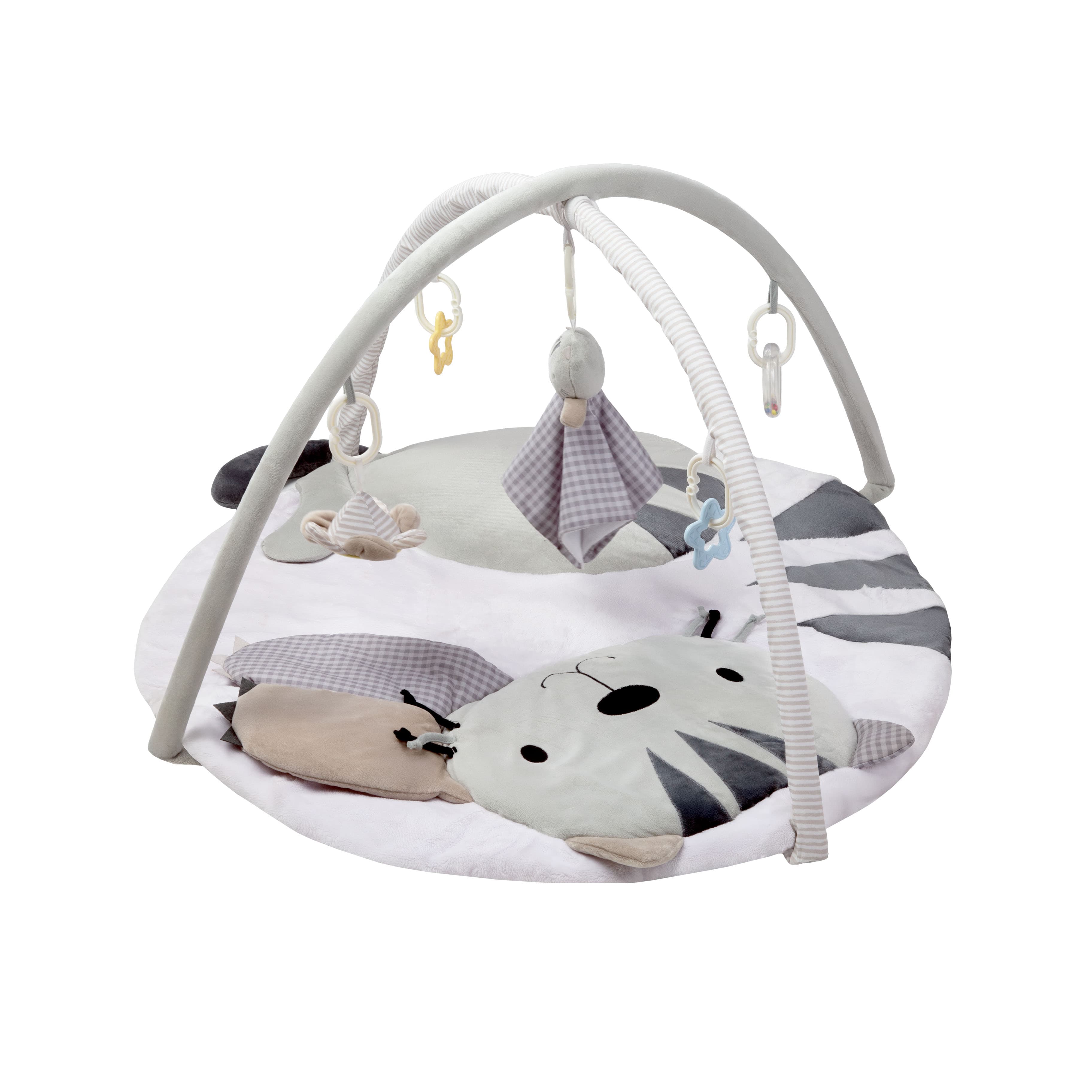 Imagen 2 de 5 de Gimnasio Didáctico Carestino