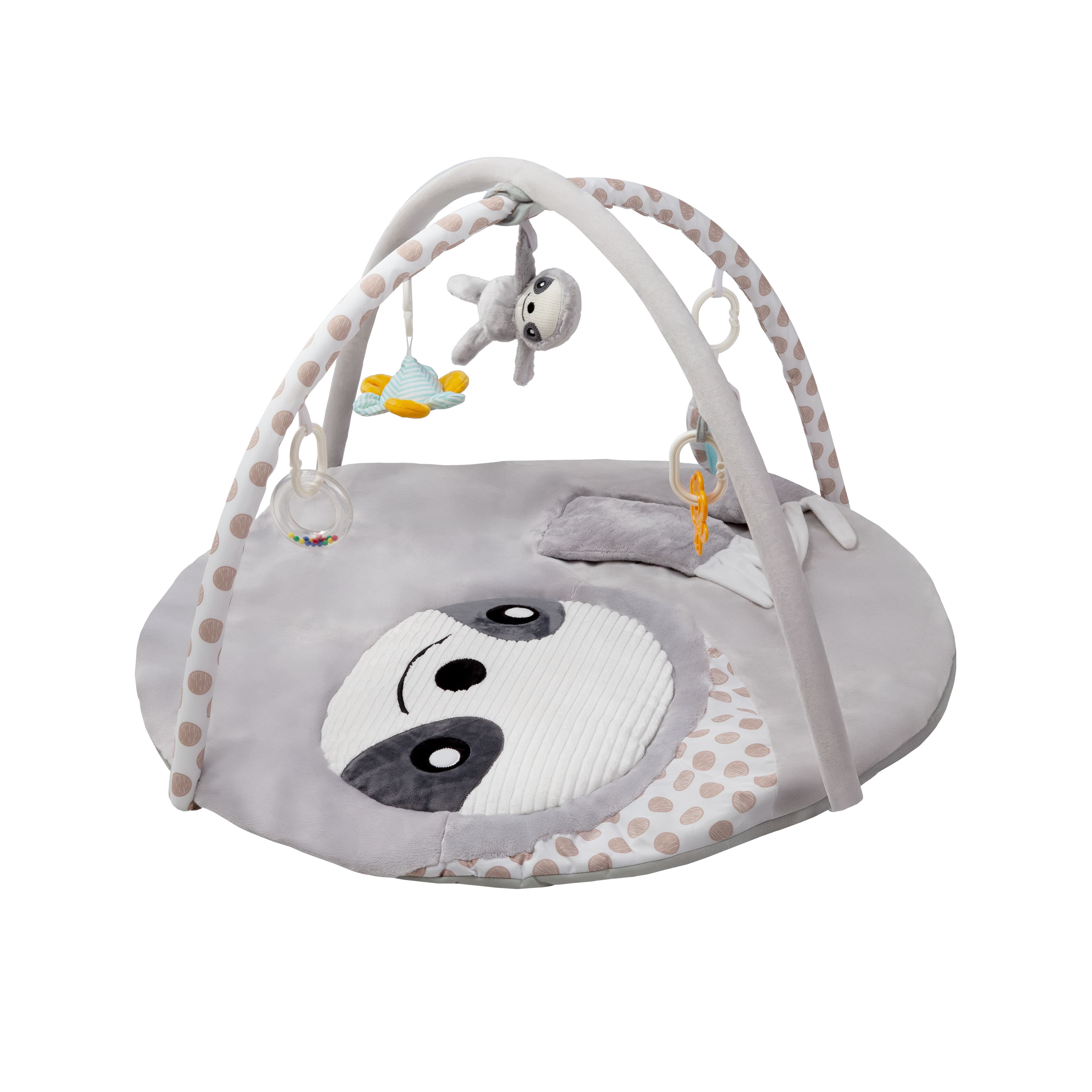 Imagen 2 de 5 de Gimnasio Didáctico Carestino