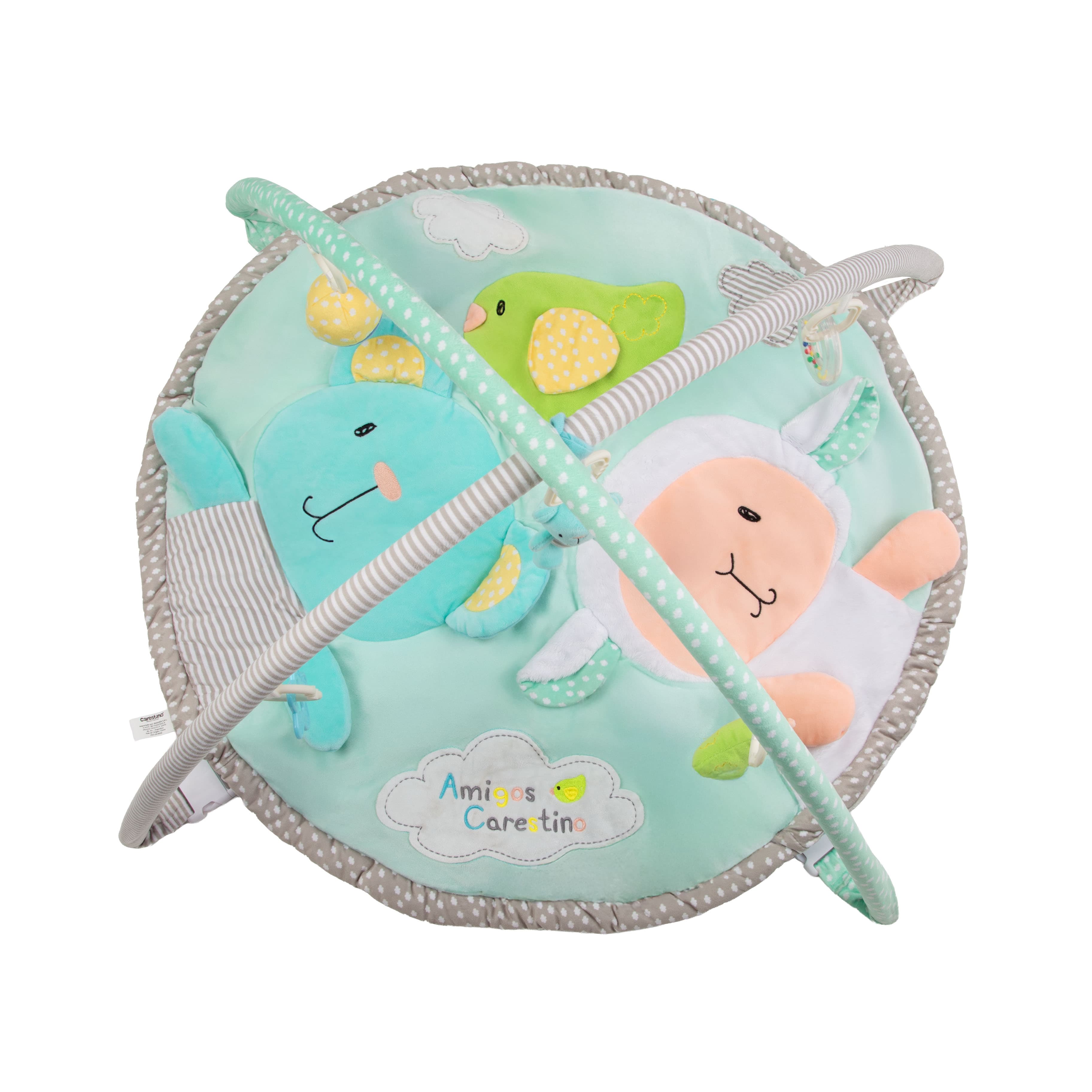 Imagen 3 de 5 de Gimnasio Didáctico Carestino