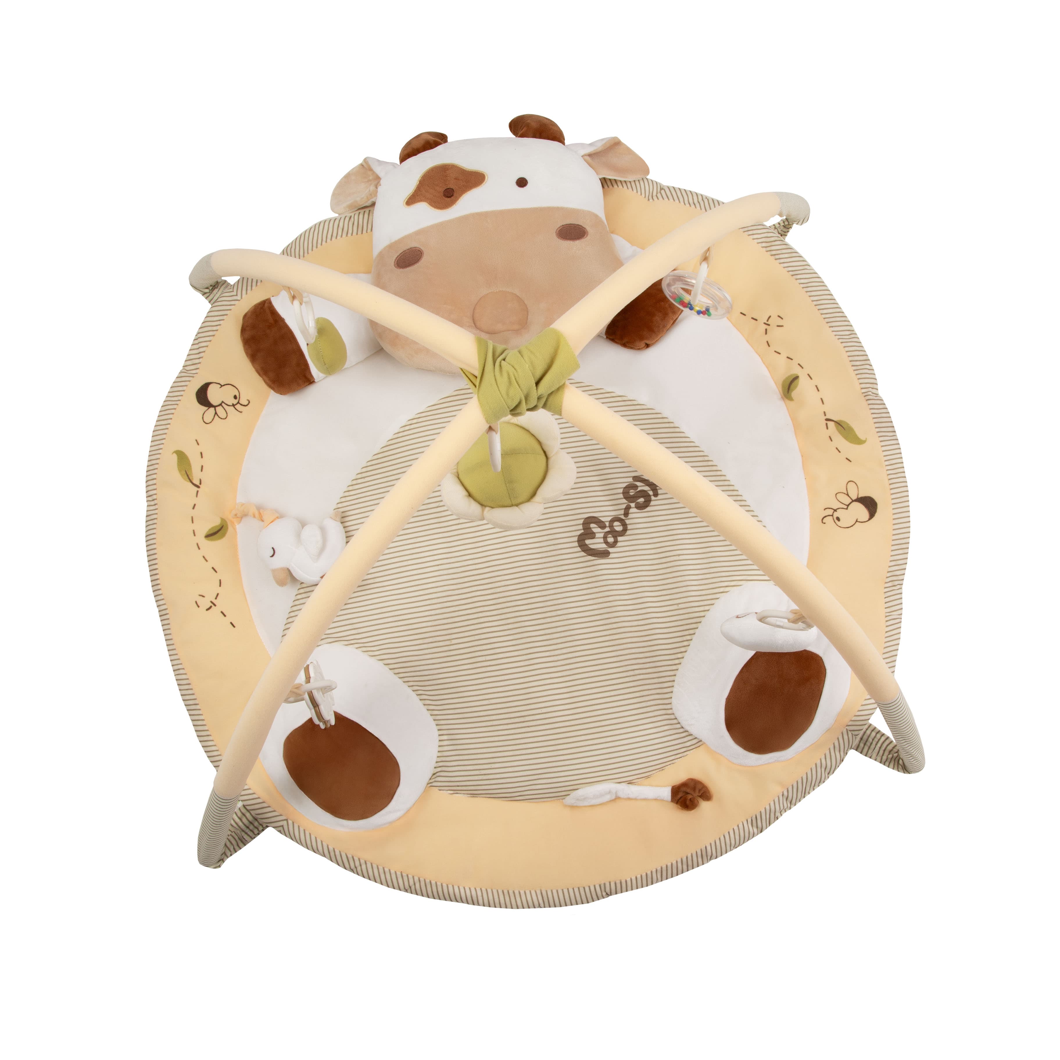 Imagen 3 de 5 de Gimnasio Didáctico Carestino