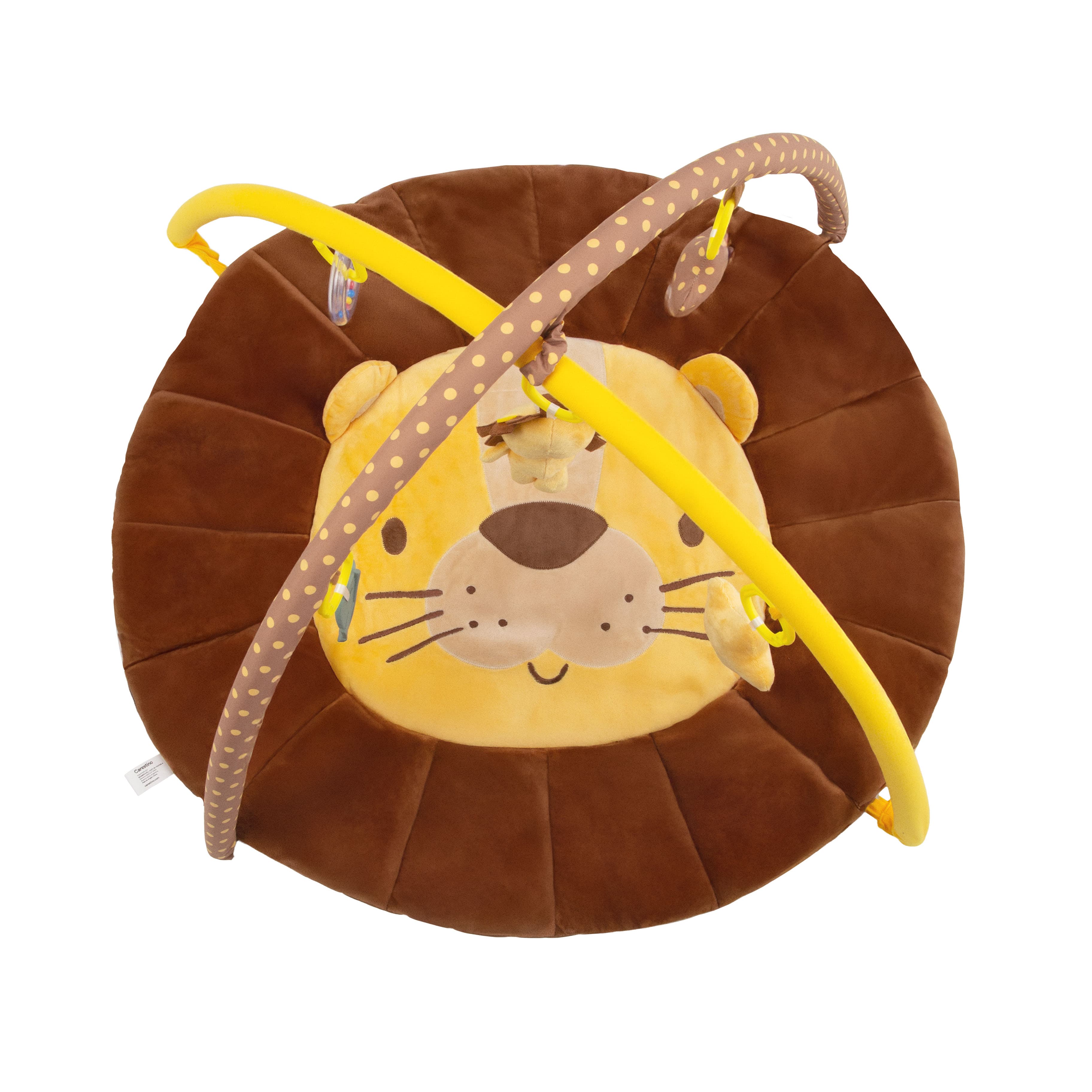 Imagen 3 de 5 de Gimnasio Didáctico Carestino Leon