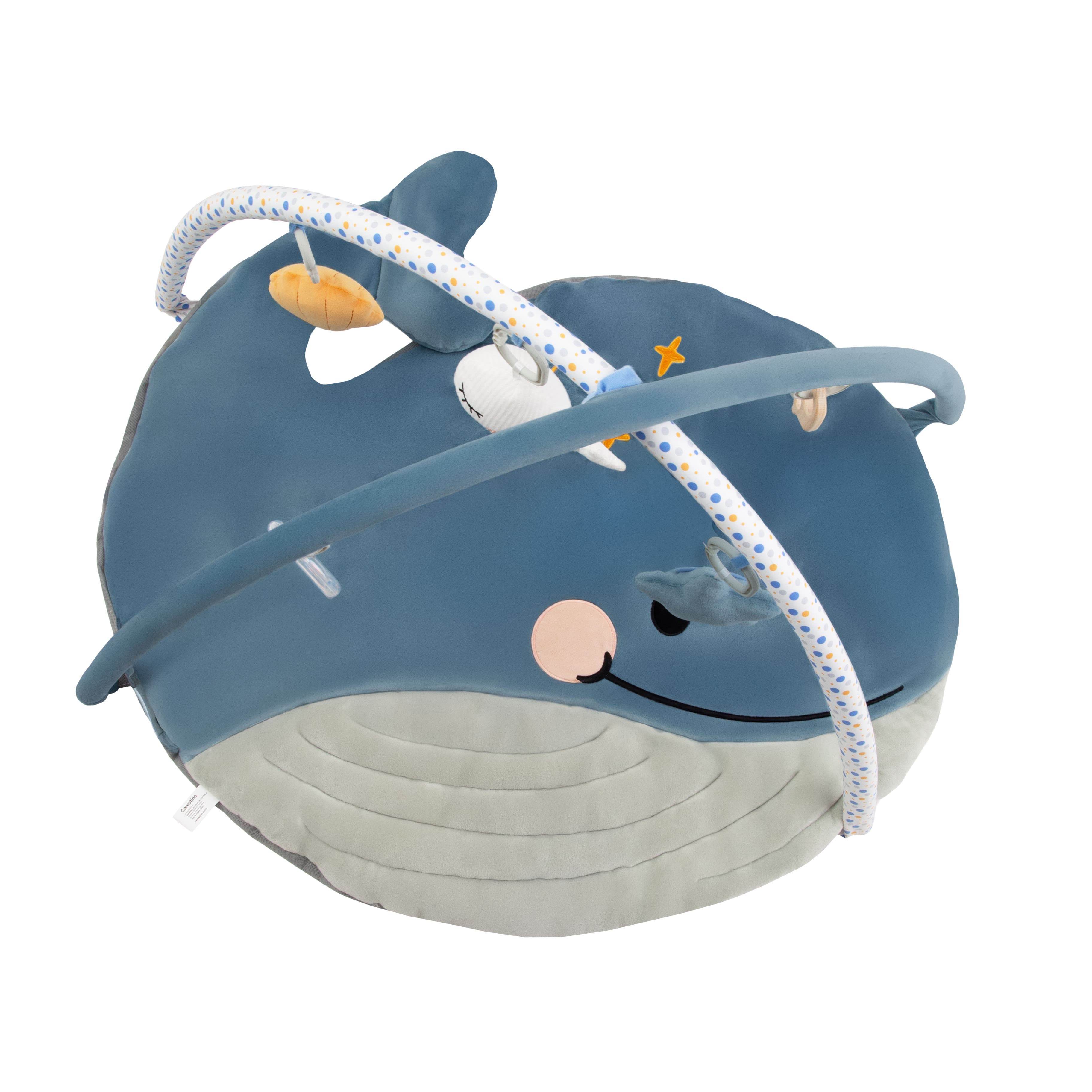 Imagen 3 de 5 de Gimnasio Didáctico Carestino Ballena