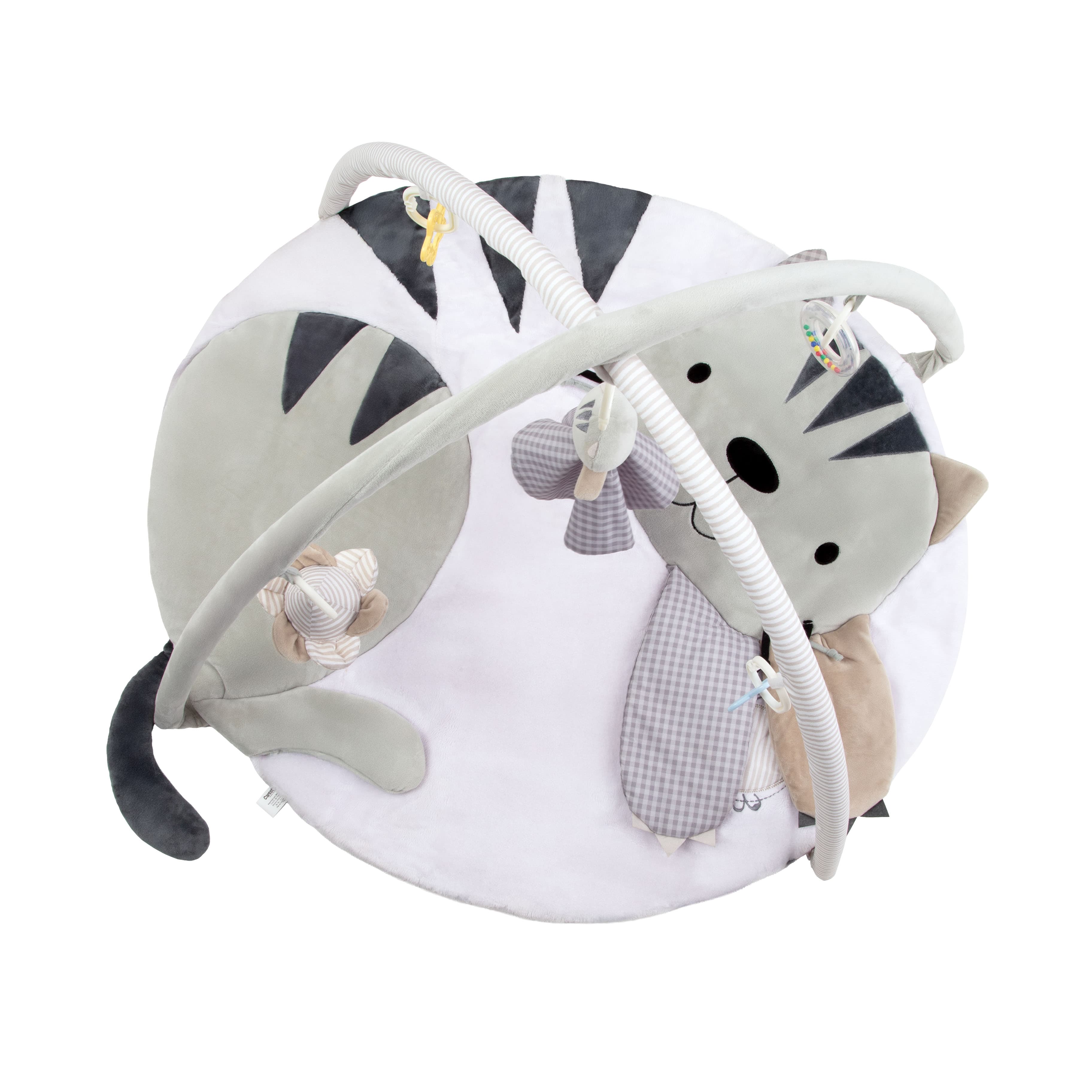 Imagen 3 de 5 de Gimnasio Didáctico Carestino