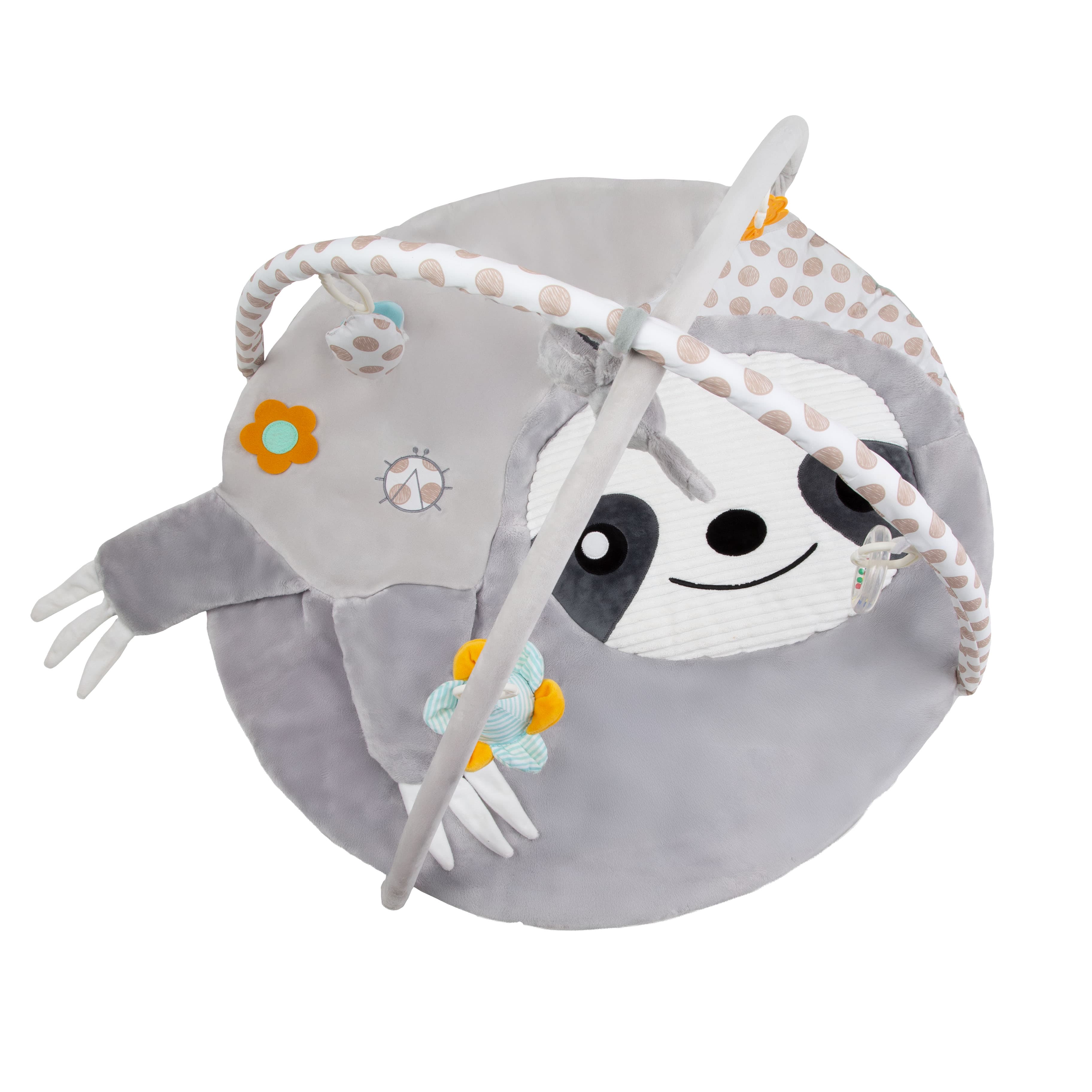 Imagen 3 de 5 de Gimnasio Didáctico Carestino