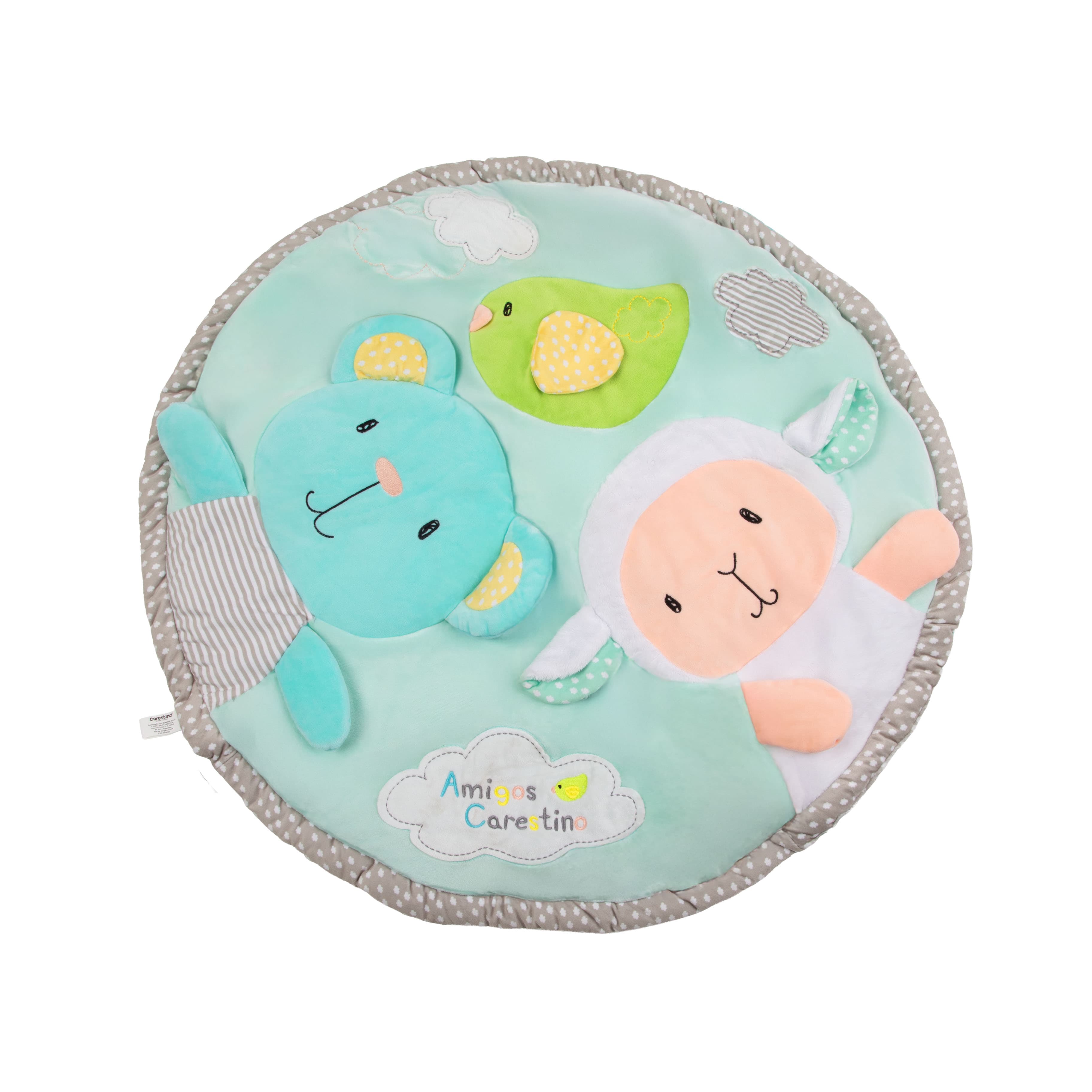 Imagen 4 de 5 de Gimnasio Didáctico Carestino