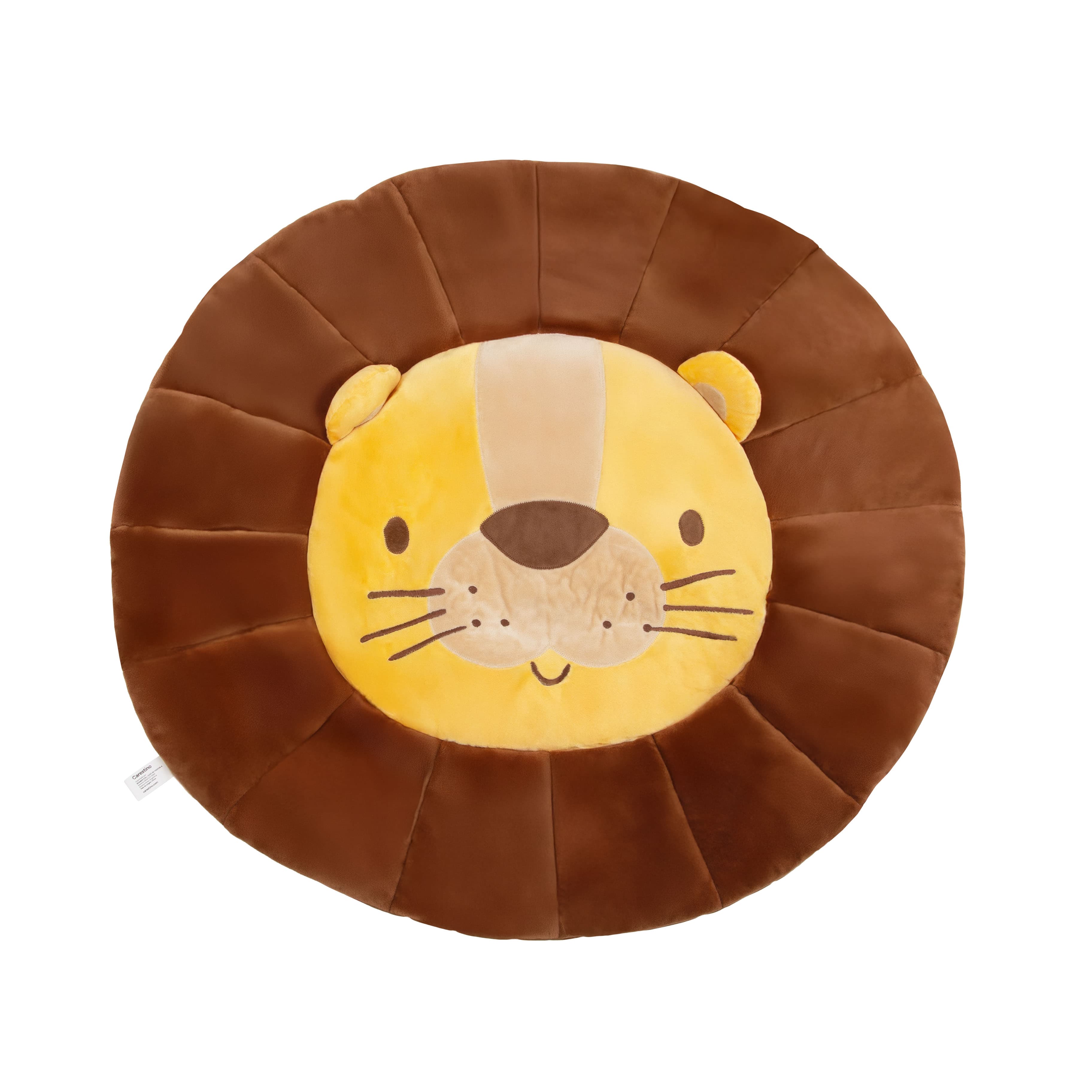 Imagen 4 de 5 de Gimnasio Didáctico Carestino Leon