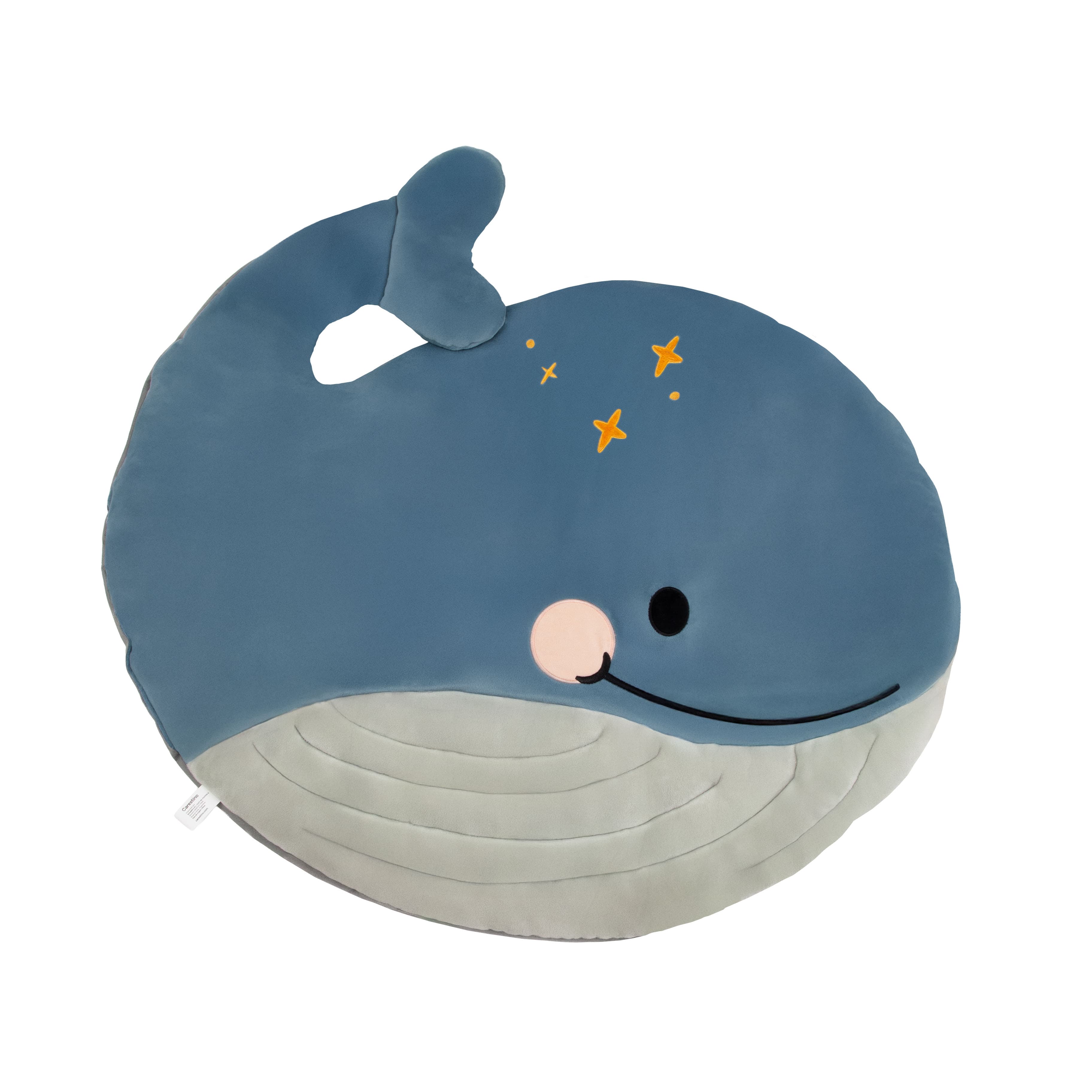 Imagen 4 de 5 de Gimnasio Didáctico Carestino Ballena