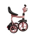 Miniatura 4 de Triciclo RIDE