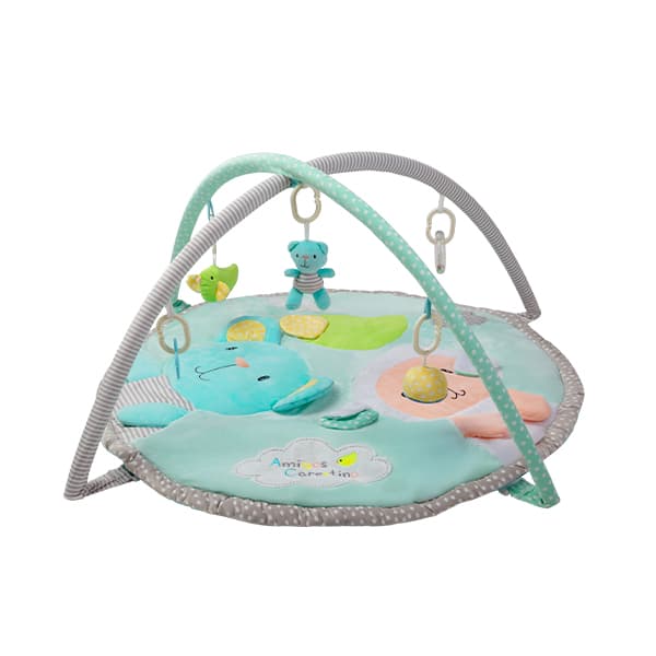 Gimnasio Didáctico Carestino Amigos Carestino