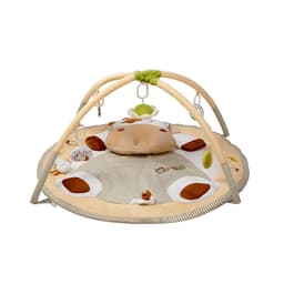 Gimnasio Didáctico Carestino Vaca