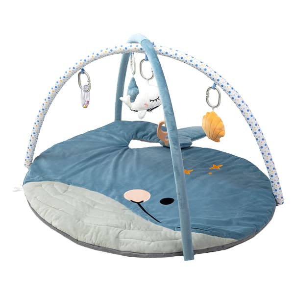 Gimnasio Didáctico Carestino Ballena Azul