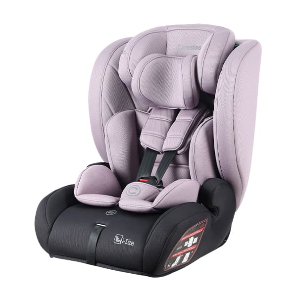 Silla Para Auto DUBLIN I-Size 76-150cm Rosa Malva