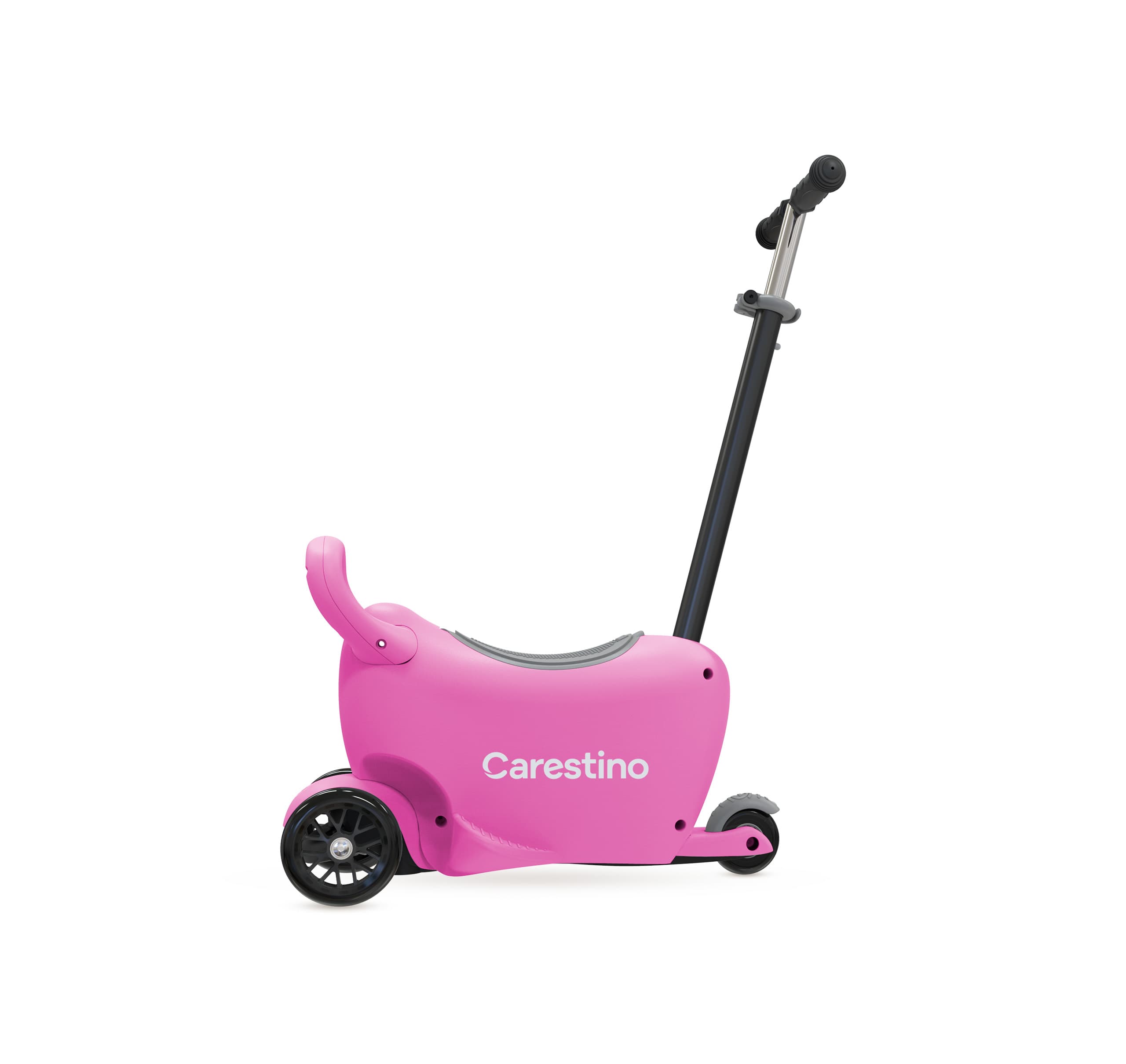 Un compañero para cada etapa product image