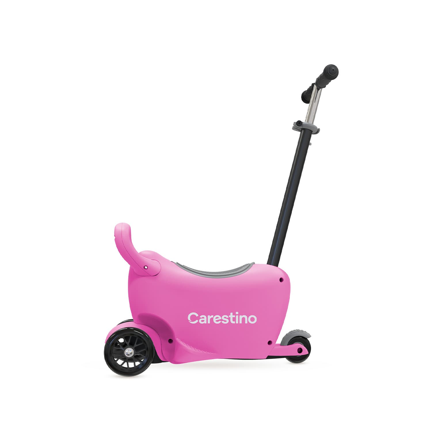 Un compañero para cada etapa product image