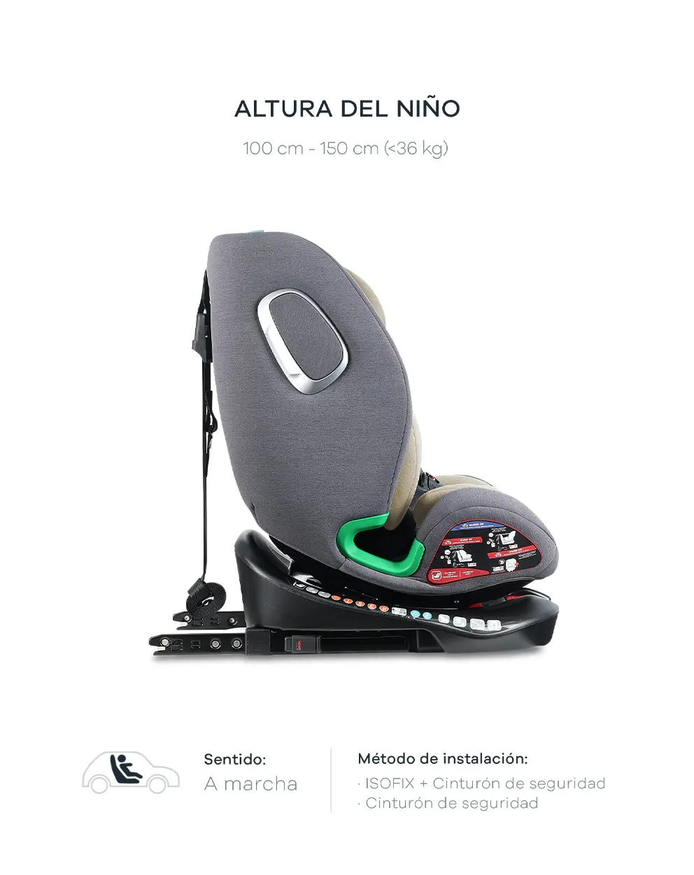 Homologación que acompaña el crecimiento product image