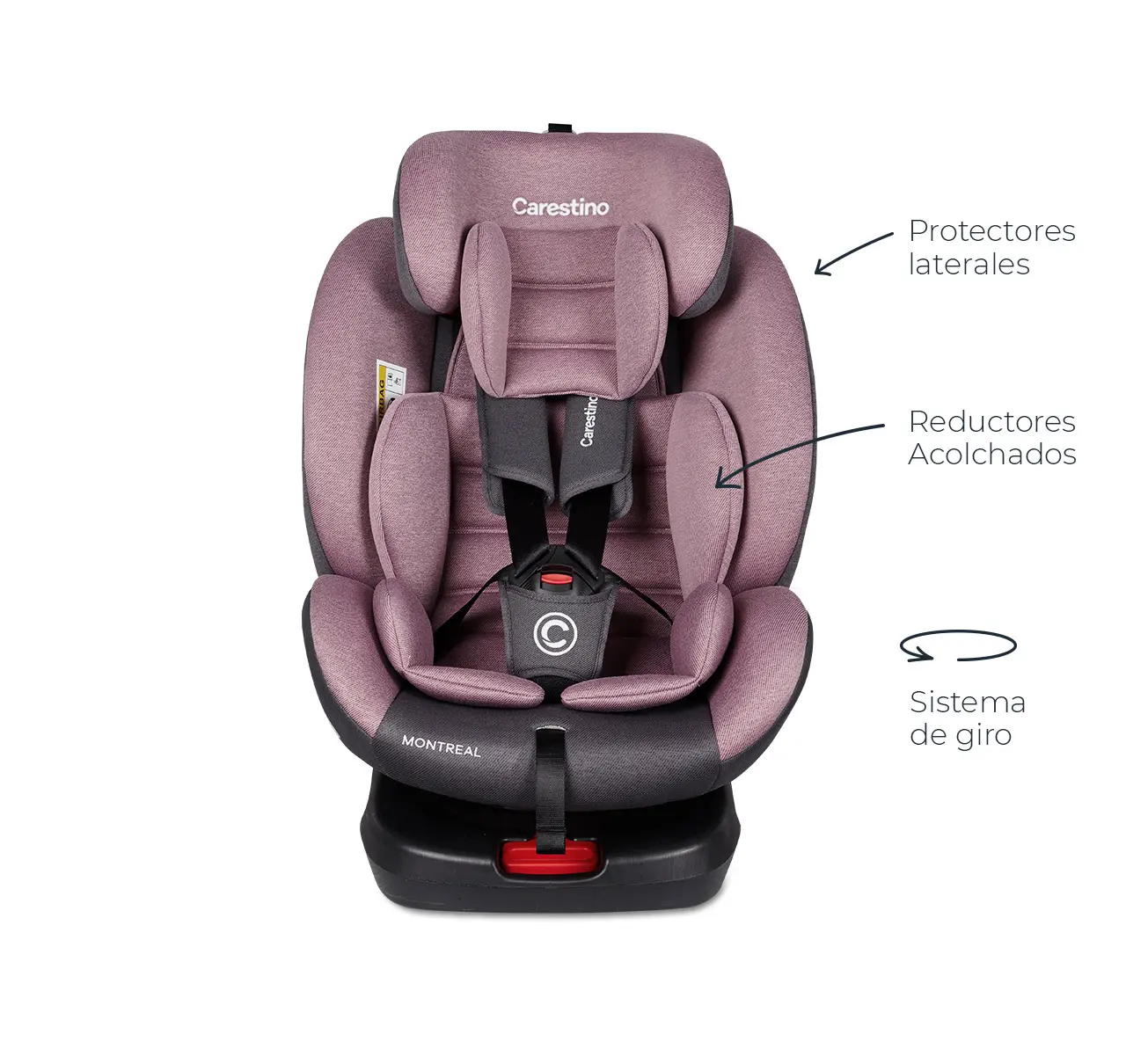 Comodidad y seguridad desde el primer viaje product image