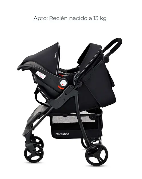 Carrito y babyseat producto