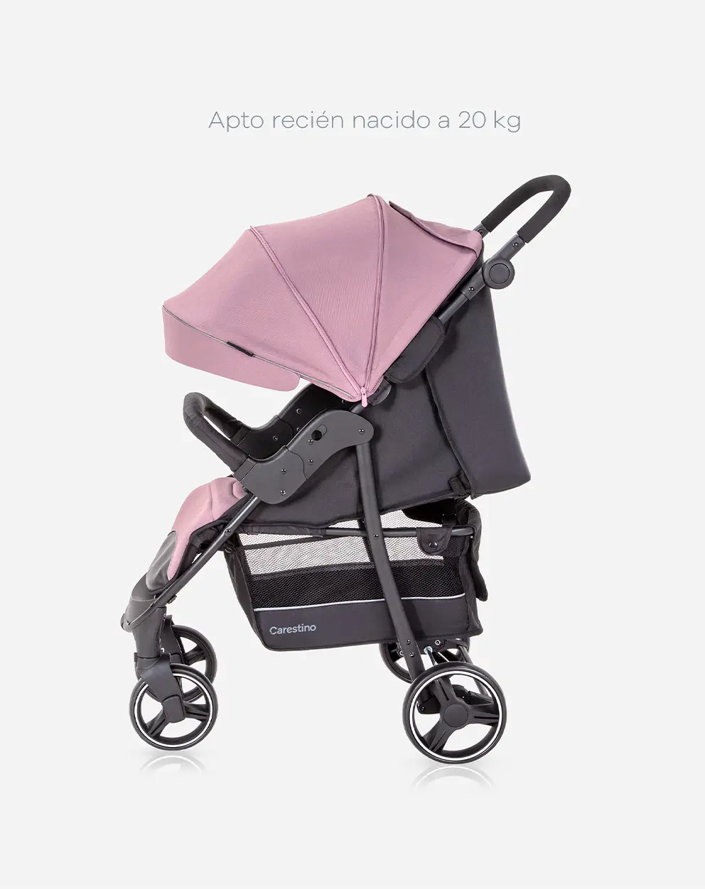 Desde sus primeros paseos producto