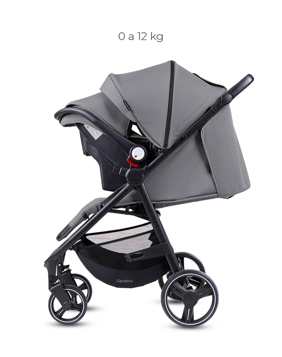 Conexión total desde el primer paseo producto