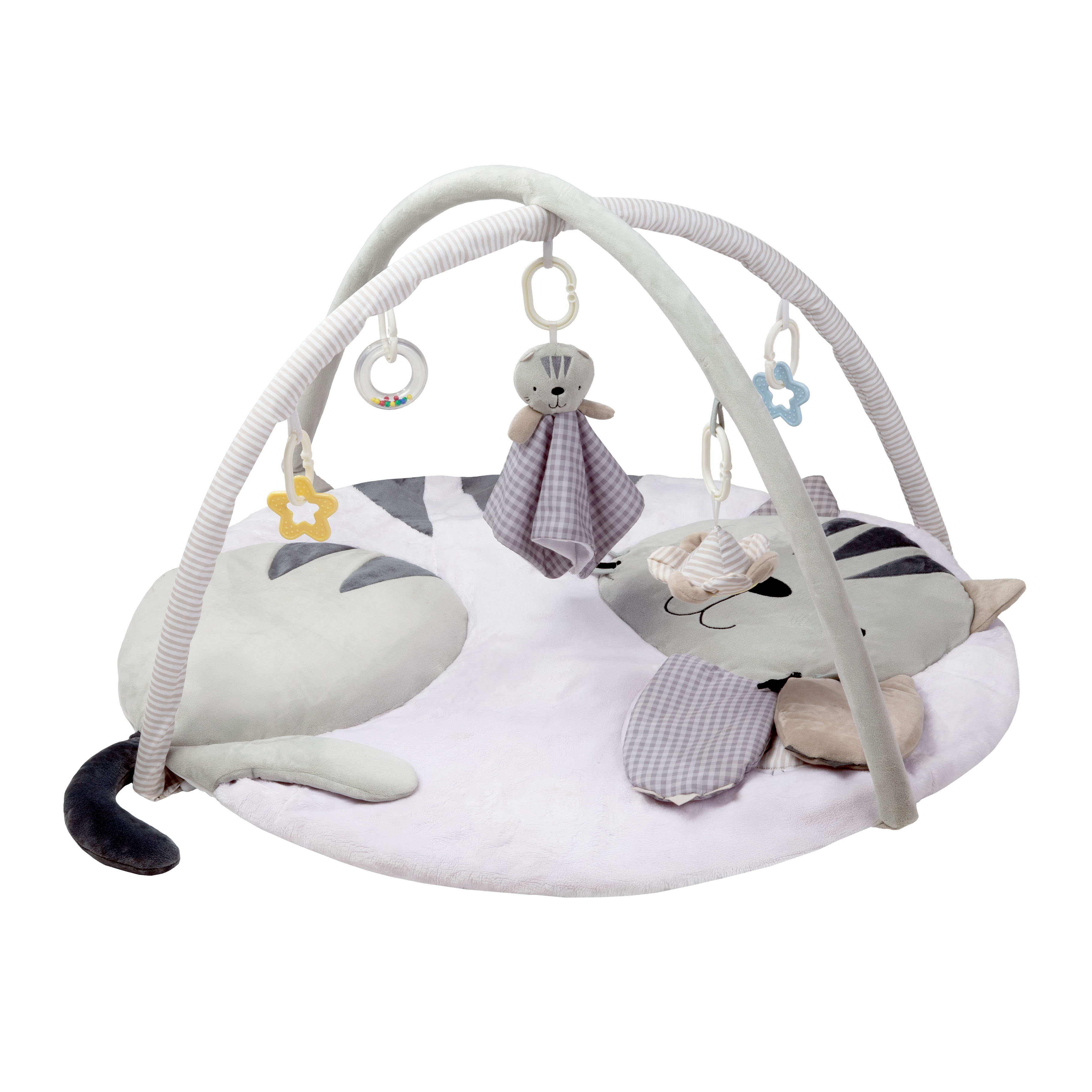 Gimnasio Didáctico Carestino Gatito